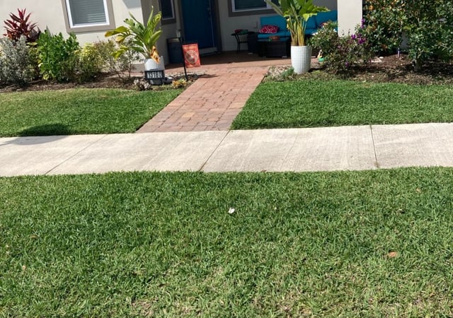 The 1 Lawn Care Service In Sugar Land, Best Choice Landscaping Lawn Care Llc