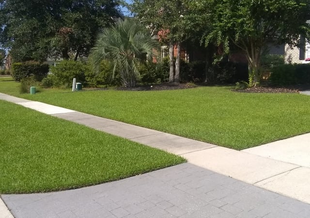 Tampa Fl Lawn Care Service, Elite Lawn Care And Landscaping Ltd
