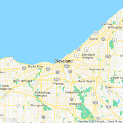 11 Best Tree Care Services In Cleveland Oh Tree Removal