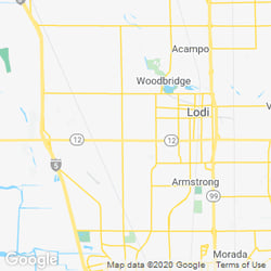 Lodi, CA Pest Control | Exterminators | Best 2021