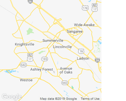 11 Best Tree Care Services In Summerville Sc Tree Removal