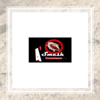 11 Best Pest Control Companies In Detroit Mi Exterminators