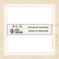 10 Best Pest Control Services In Cincinnati Oh Exterminators