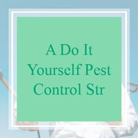 11 Best Pest Control Companies in Greenville, SC | Exterminators