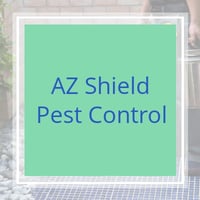 10 Best Pest Control Services In Gilbert Az Exterminators