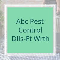 6 Best Pest Control Services in Lewisville, TX 2020 ...