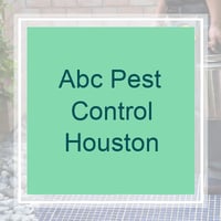 6 Best Pest Control Services in Cypress, TX 2020 ...