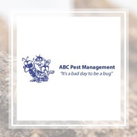 10 Best Pest Control Services In Virginia Beach Va Exterminators