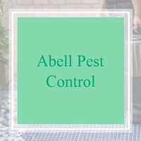 11 Best Pest Control Companies In Sunnyvale Ca Exterminators