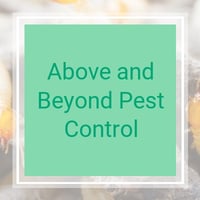 10 Best Pest Control Services In Saint Cloud Fl Exterminators
