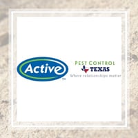 11 Best Pest Control Companies in Santa Fe, TX | Exterminators