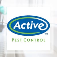 10 Best Pest Control Services In Fayetteville Ga Exterminators