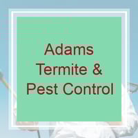 12 Best Pest Control Services In Pflugerville Tx 2020 Exterminators
