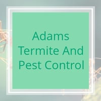 The 11 Best Pest Control Companies In Austin Tx