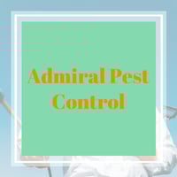 11 Best Pest Control Companies In Bellflower Ca Exterminators