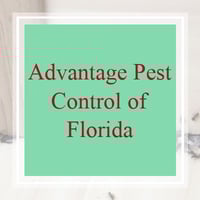 10 Best Pest Control Services in Pinellas Park, FL ...