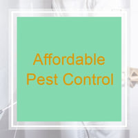 10 Best Pest Control Services In Apex Nc Exterminators