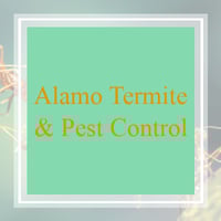 10 Best Pest Control Services in Fort Worth, TX ...