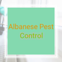 With One Fixing From Your Kitchen You Will Get Rid Of Your Hemorrhoids In 24 Hours Bed Bugs Termite Control Bed Bug Bites