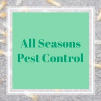 11 Best Pest Control Companies In Fruitland Park Fl Exterminators