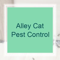 10 Best Pest Control Services In Riverview Fl Exterminators