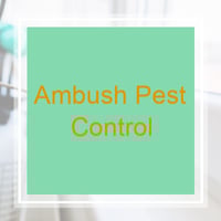 11 Best Pest Control Companies in Frederick, MD ...