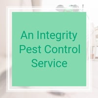 10 Best Pest Control Services In Largo Fl Exterminators