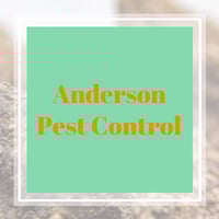 11 Best Pest Control Companies in Deland, FL | Exterminators