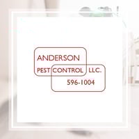 11 Best Pest Control Companies In Colorado Springs Co Exterminators