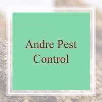 17 Best Pest Control Services In Hollywood Fl Exterminators