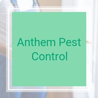 10 Best Pest Control Services In Duluth Ga Exterminators