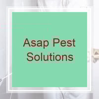 11 Best Pest Control Companies In Palm Bay Fl Exterminators