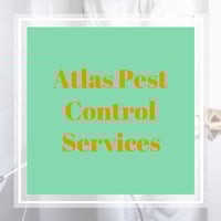 19 Best Pest Control Services in Indianapolis, IN ...