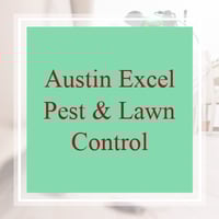 6 Best Pest Control Services in Buda, TX 2020 | Exterminators