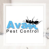 10 Best Pest Control Services In Winter Garden Fl Exterminators