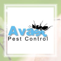 10 Best Pest Control Services In Kissimmee Fl Exterminators