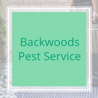 30 Best Pest Control Services In Oklahoma City Ok Exterminators