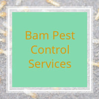 25 Best Pest Control Services In Naples Fl Exterminators