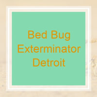 11 Best Pest Control Companies In Detroit Mi Exterminators