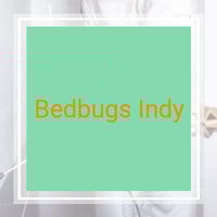 19 Best Pest Control Services in Indianapolis, IN ...