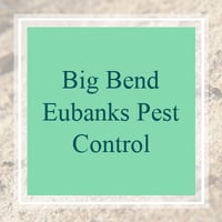 18 Best Pest Control Services in Tallahassee, FL ...