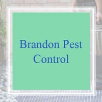 17 Best Pest Control Services in Lakeland, FL | Exterminators