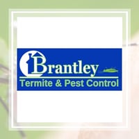 10 Best Pest Control Services In Largo Fl Exterminators