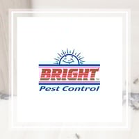 11 Best Pest Control Companies in Louisville, KY ...