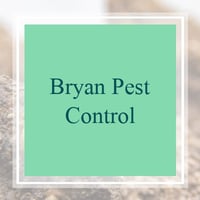 11 Best Pest Control Companies in Gulf Breeze, FL ...