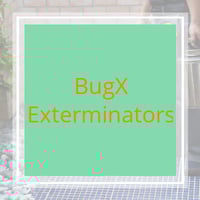 10 Best Pest Control Services In Spring Hill Fl Exterminators