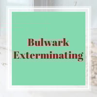 11 Best Pest Control Companies in Santa Fe, TX | Exterminators