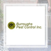10 Best Pest Control Services In Fayetteville Ga Exterminators