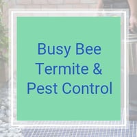10 Best Pest Control Services In Jacksonville Fl Exterminators