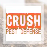 10 Best Pest Control Services In San Tan Valley Az Exterminators